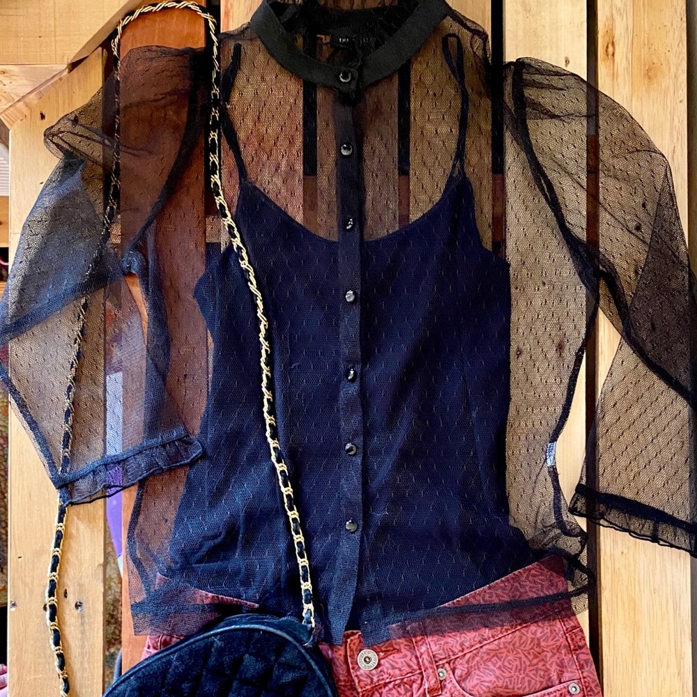 The Limited Sheer Button-up Blouse - Vintage - Picture 5 of 5